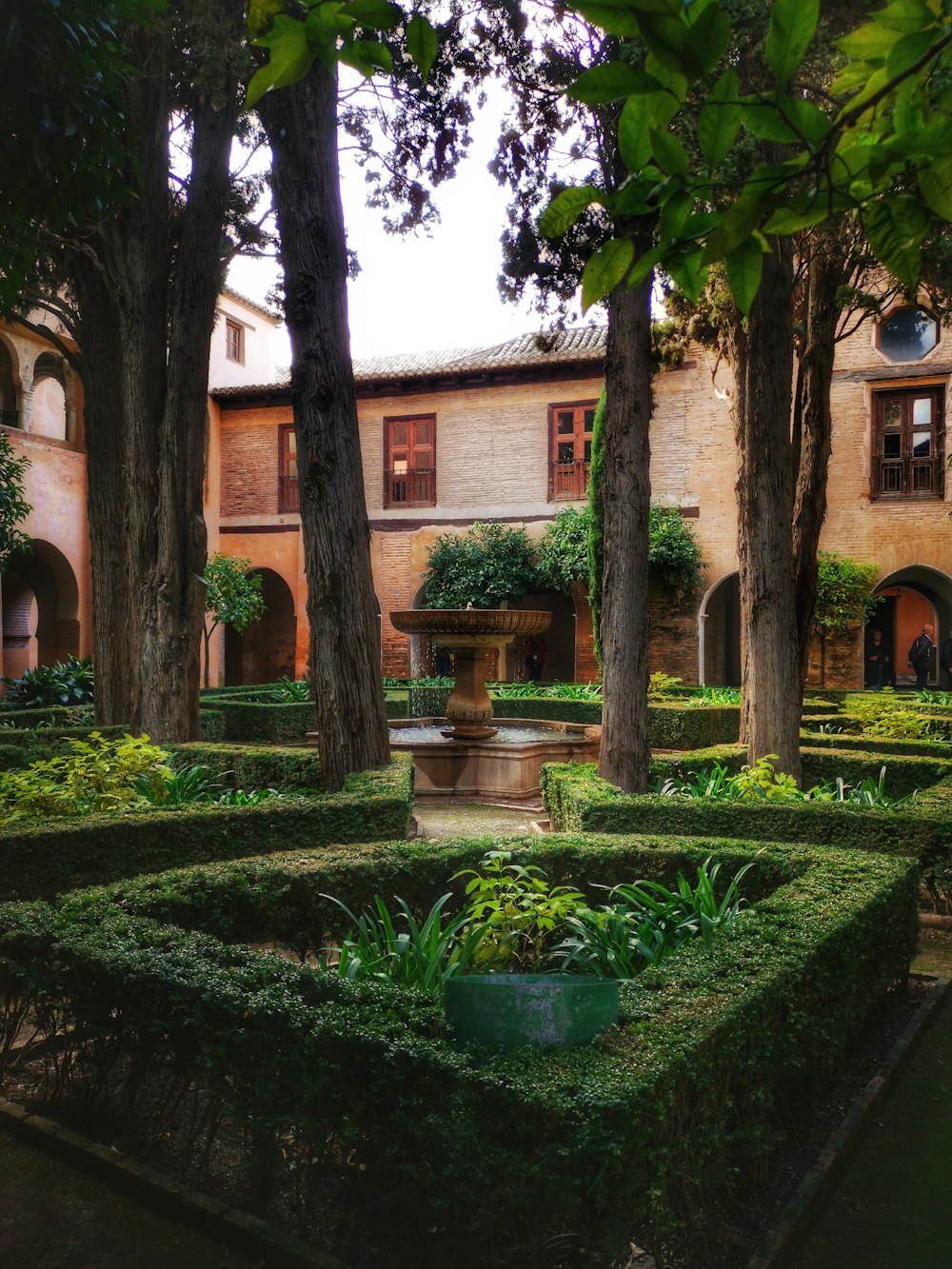 green-leafed trees and plants