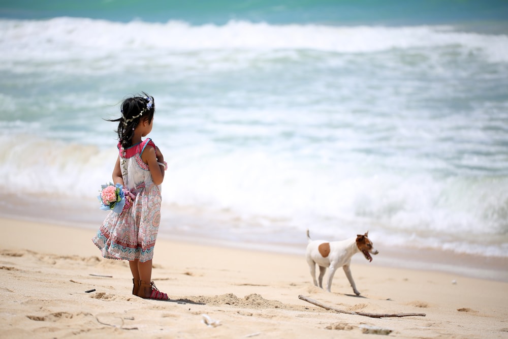 toddler girl's white and blue floral dress