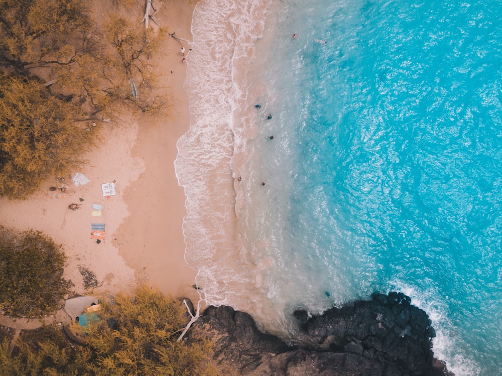 aerial photography of seashore during daytime