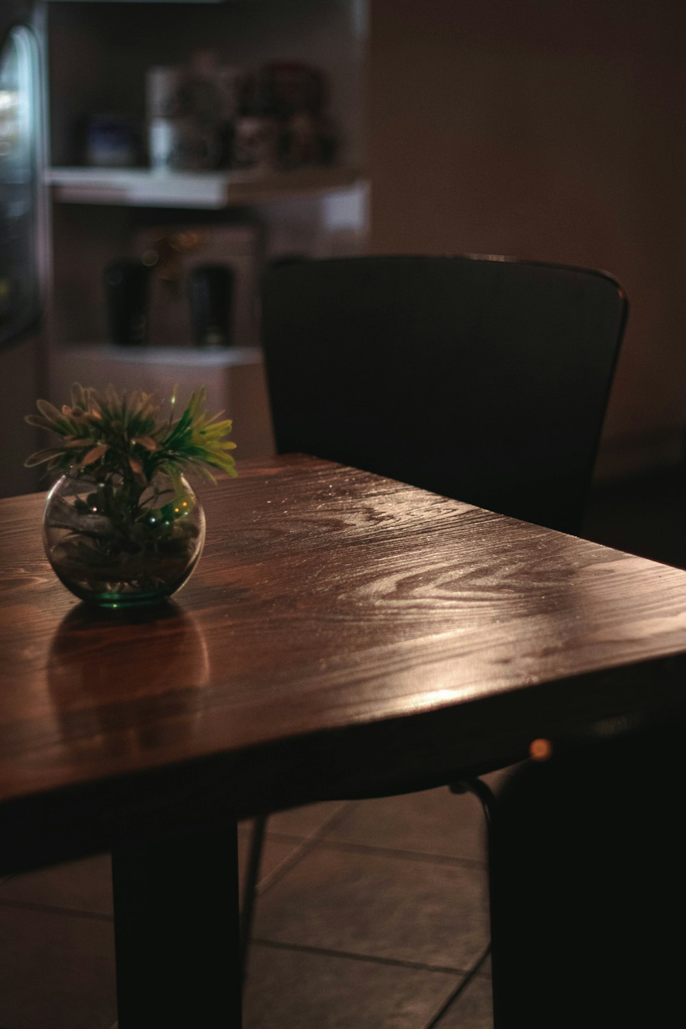 Plante à feuilles vertes dans un vase en verre