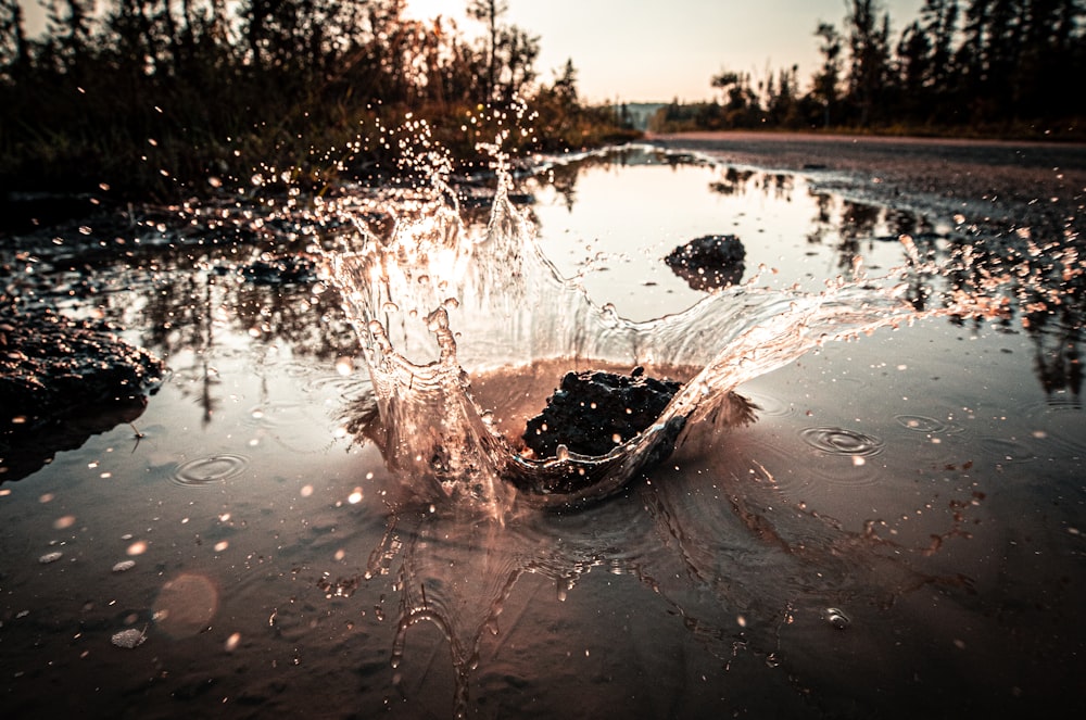 water pod on road