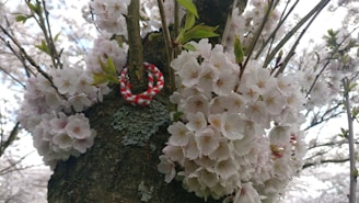 A unique sakura series jewelry showcasing nature's beauty.