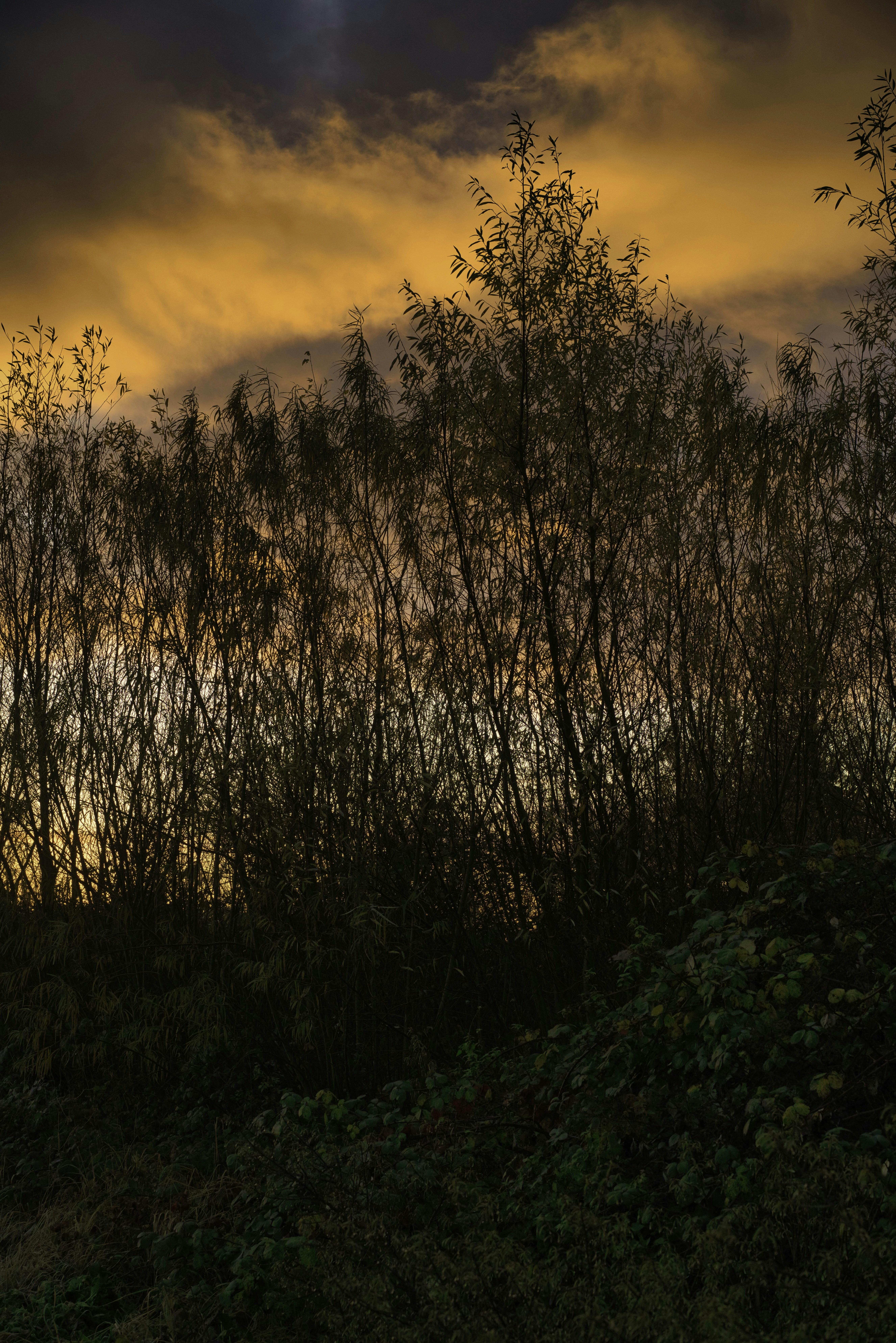 Photo by albertobobbera