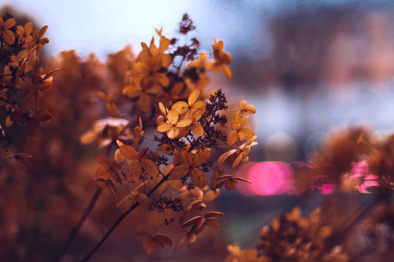Couple enjoying romantic boat experience