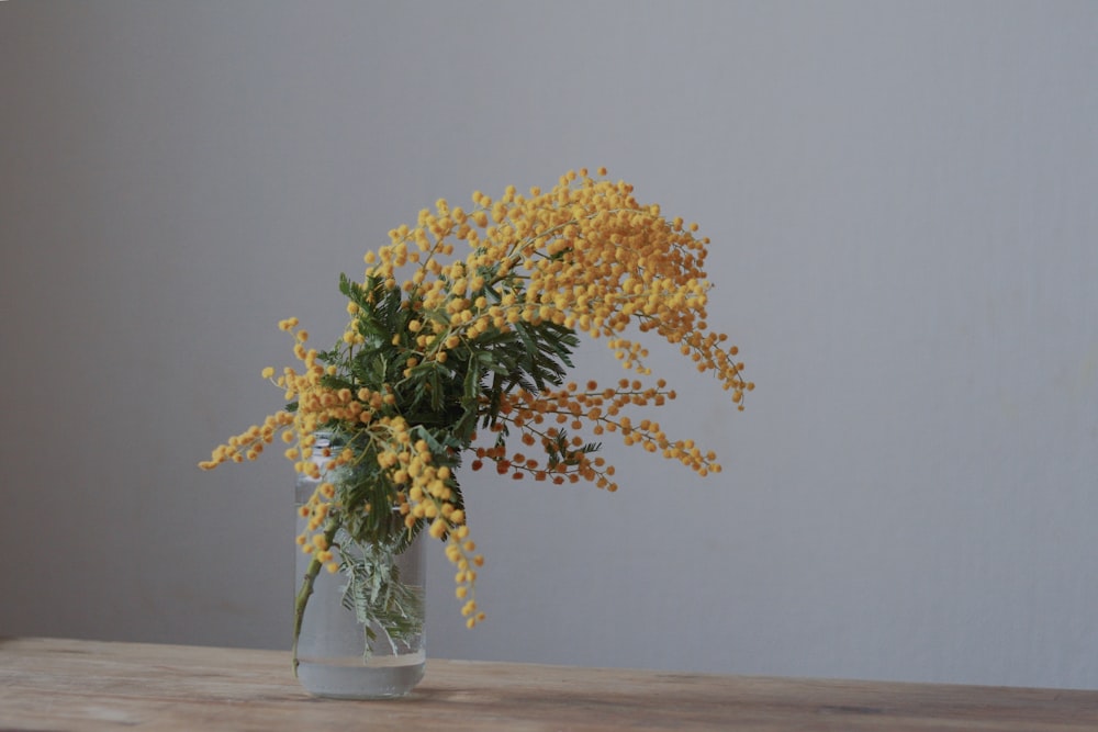 green-leafed plant with yellow flowers