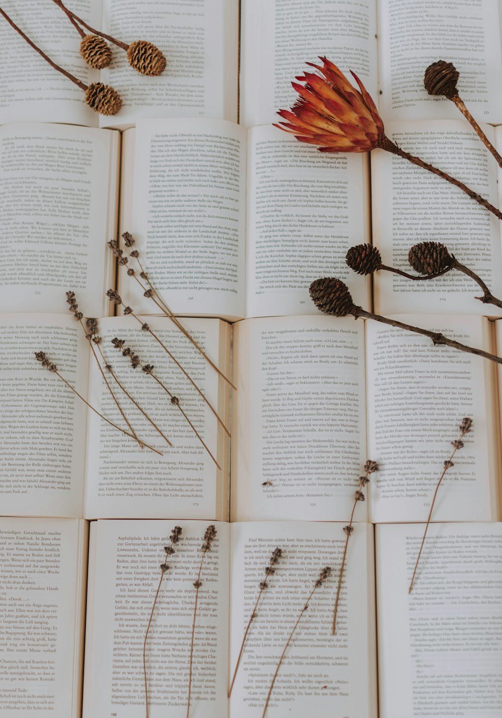 dried flowers on books