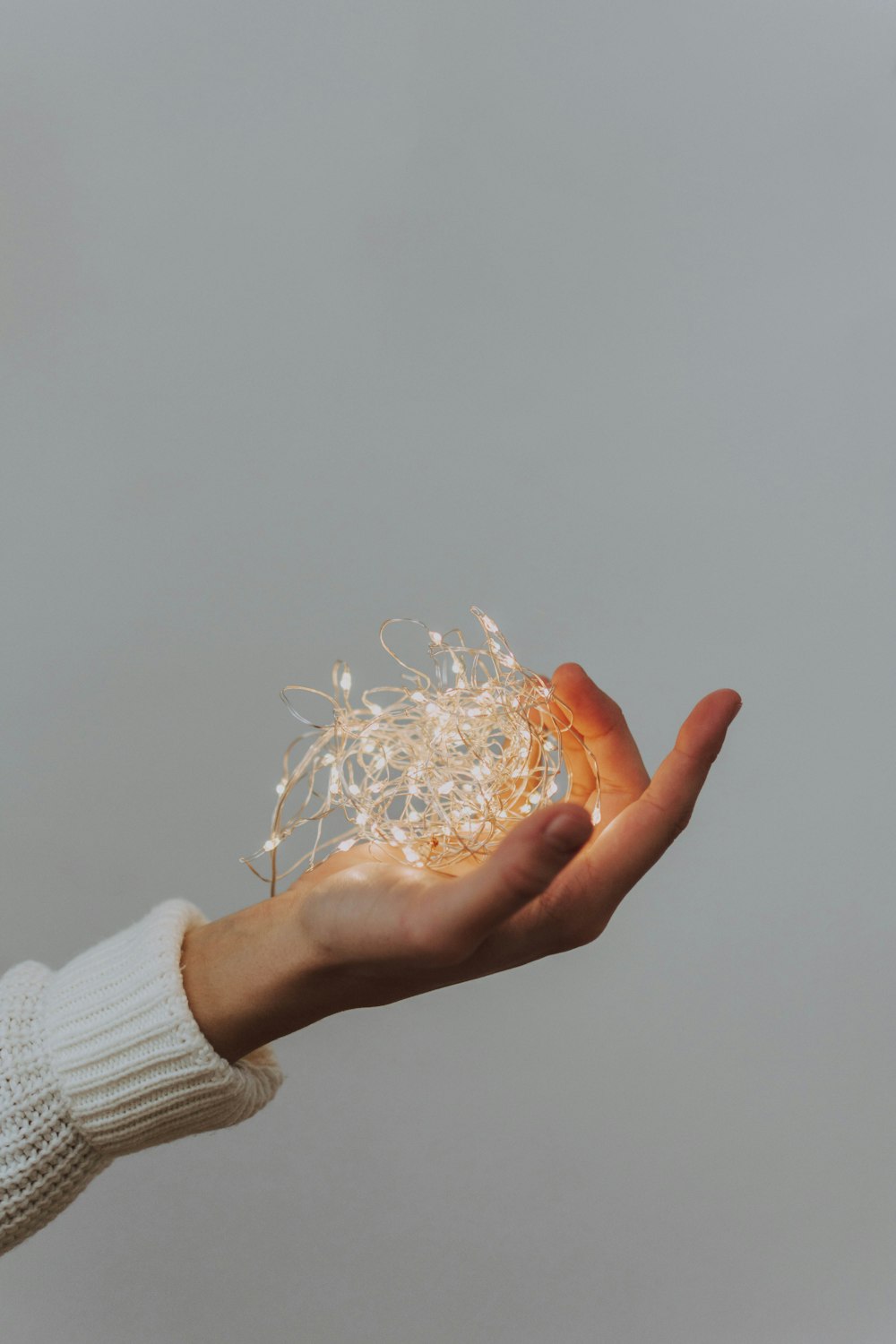 person holding string lights