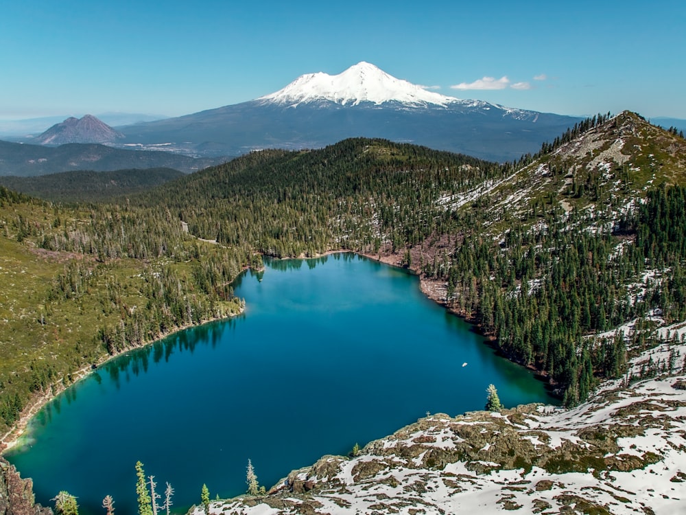 foto aerea del lago circondato da alberi