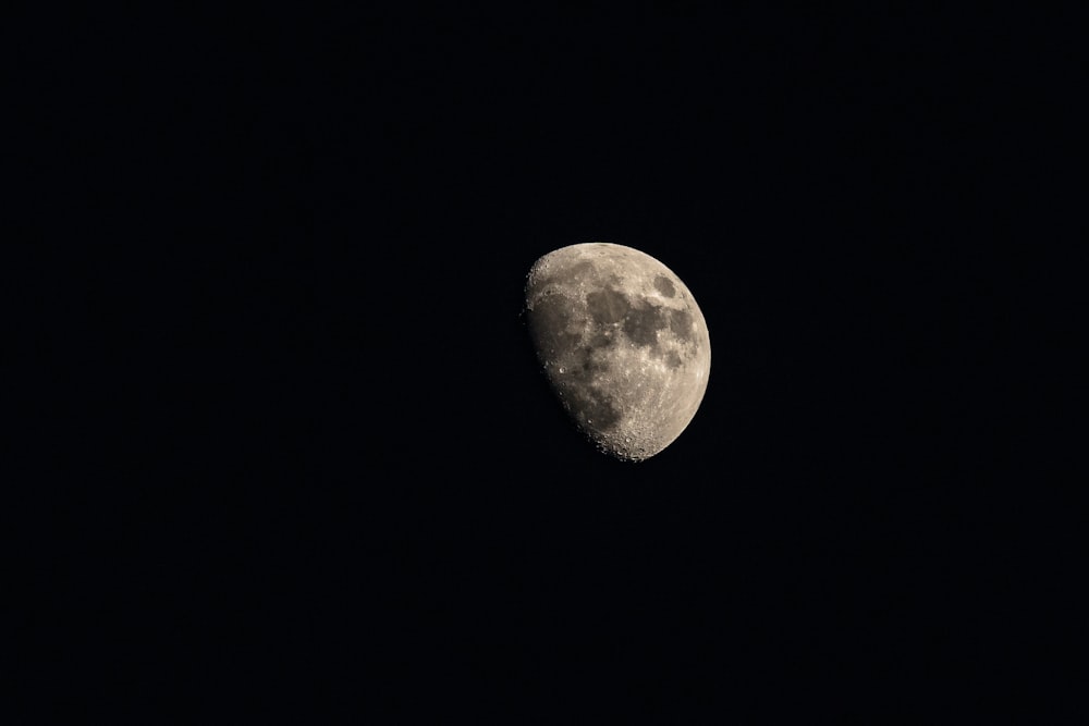 gray moon at night
