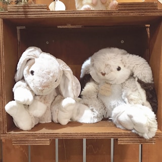 Two plush bunny toys are placed side by side in a wooden crate. Both have soft, fluffy fur and floppy ears. The left bunny is a light cream color, while the right bunny has brown patches on its ears. A tag is attached to the right bunny's chest.
