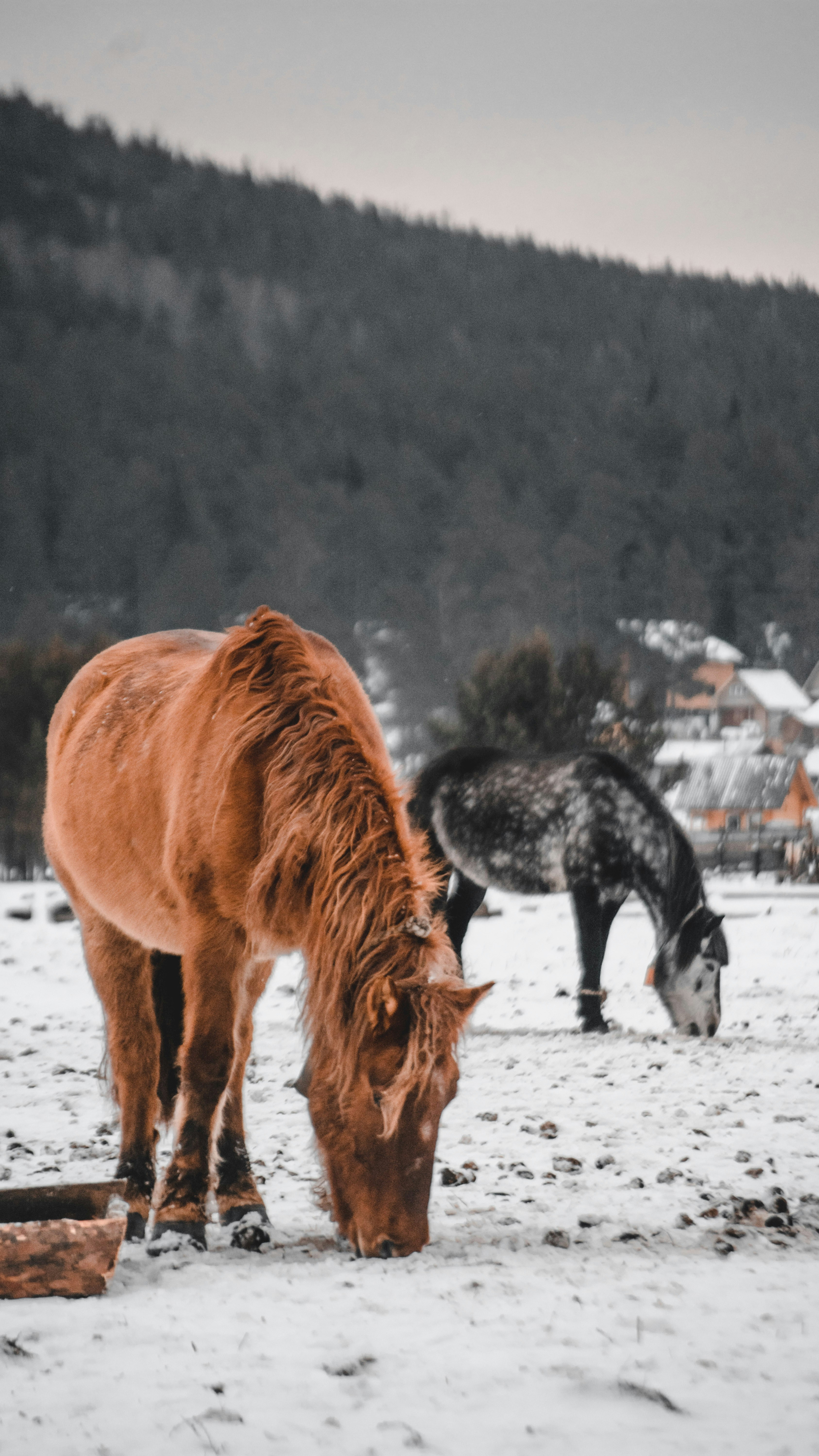 Body Language: The Universal Communication System (image credits: unsplash)