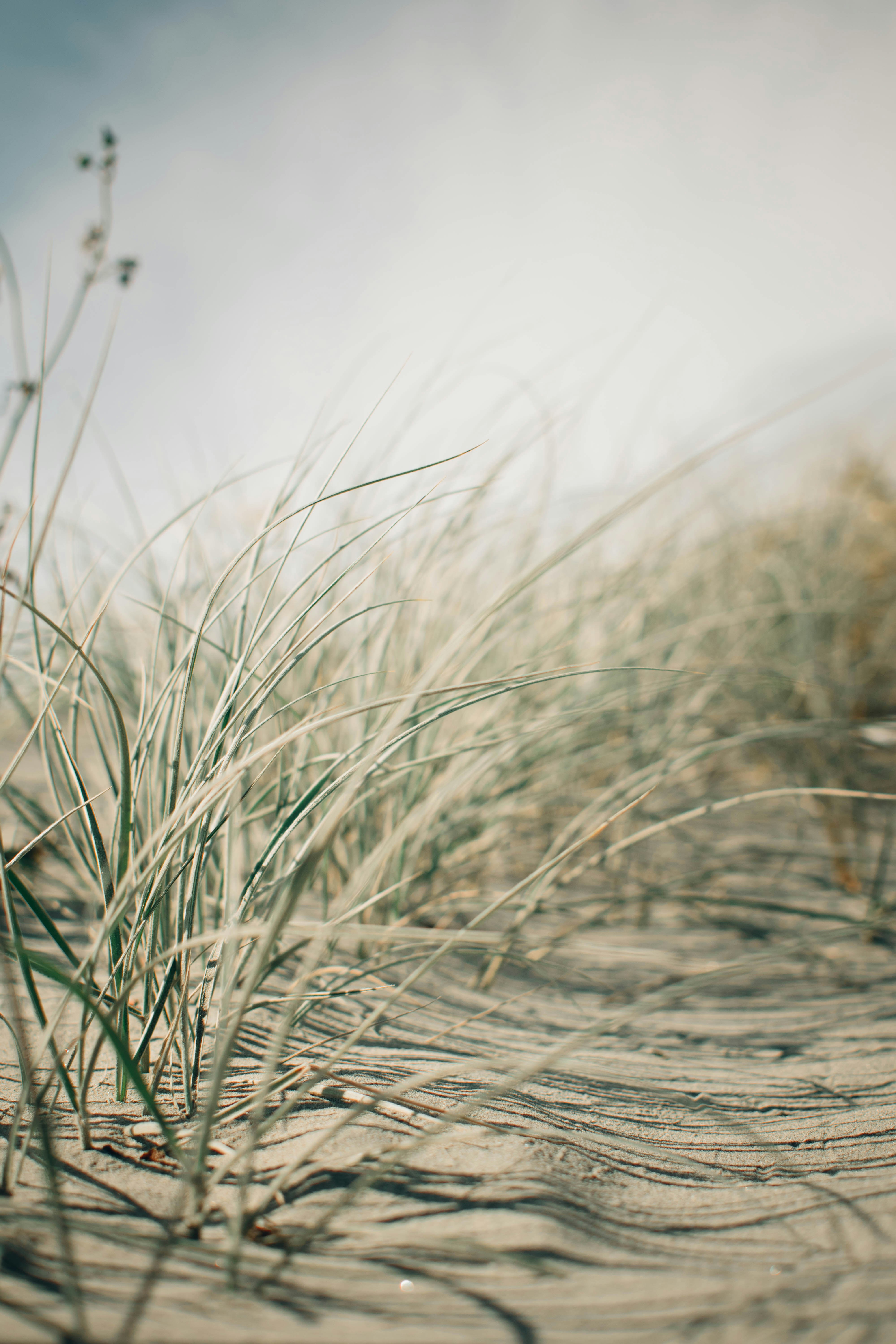 Photo by josiahfarrow