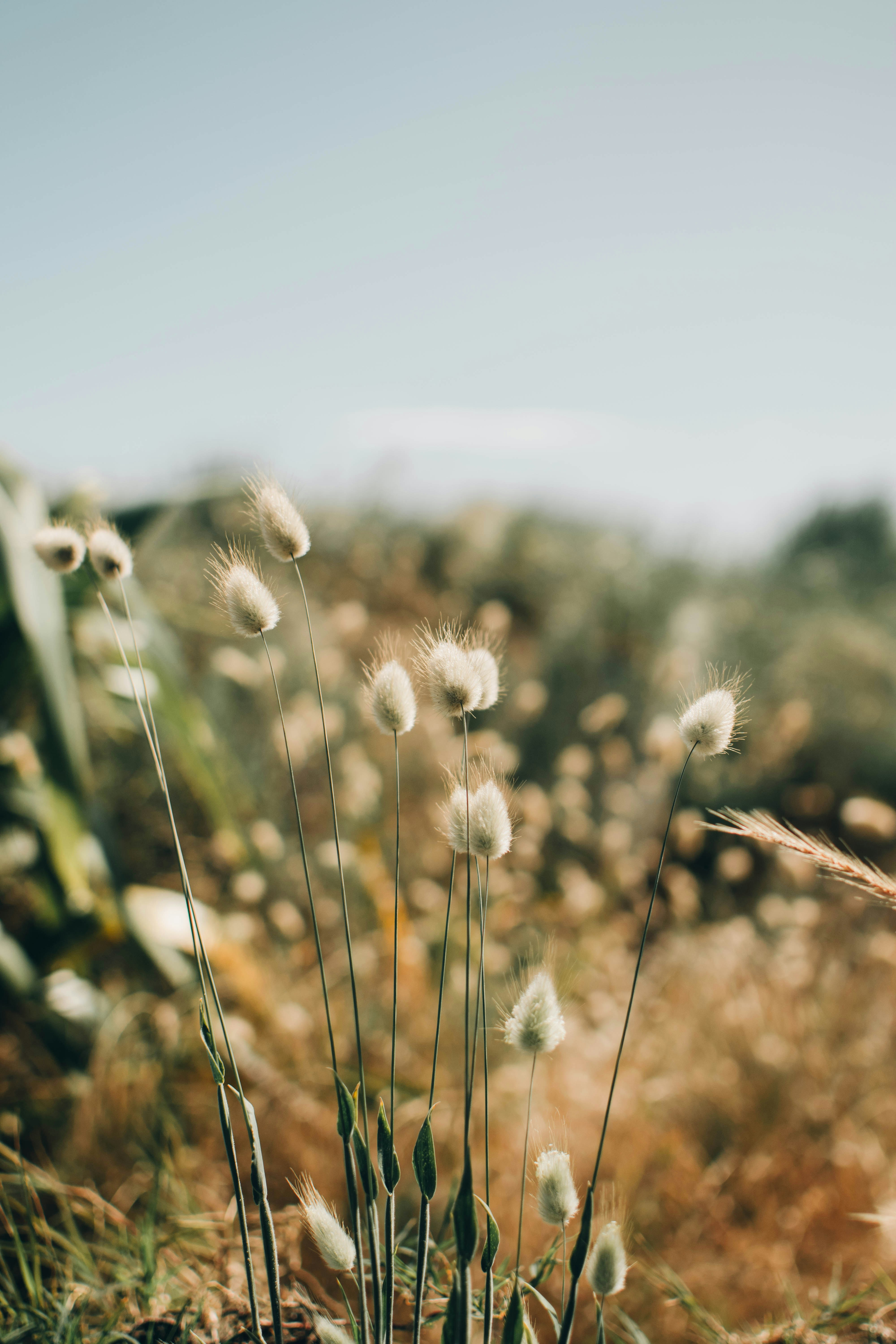 Photo by josiahfarrow