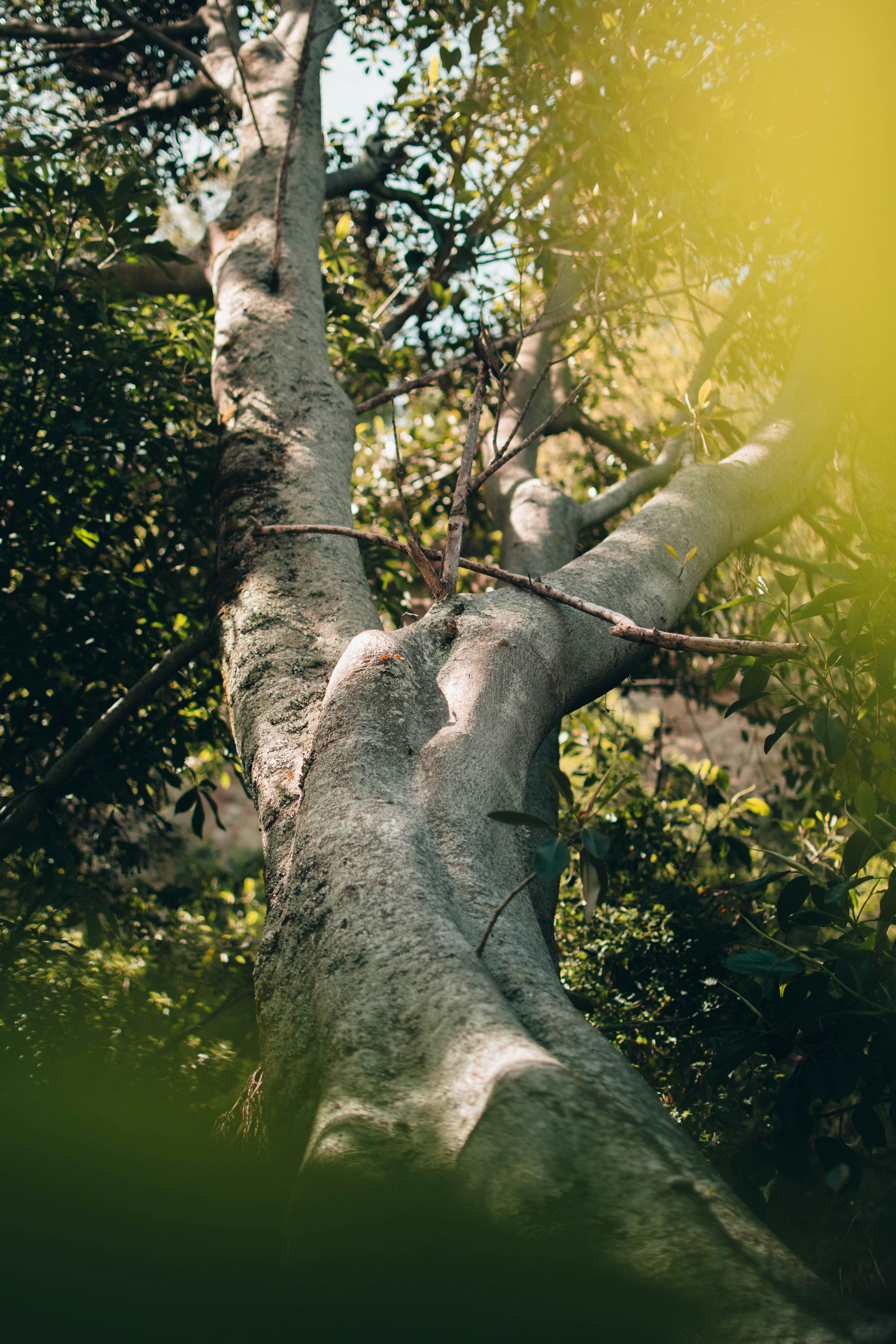 Photo by josiahfarrow