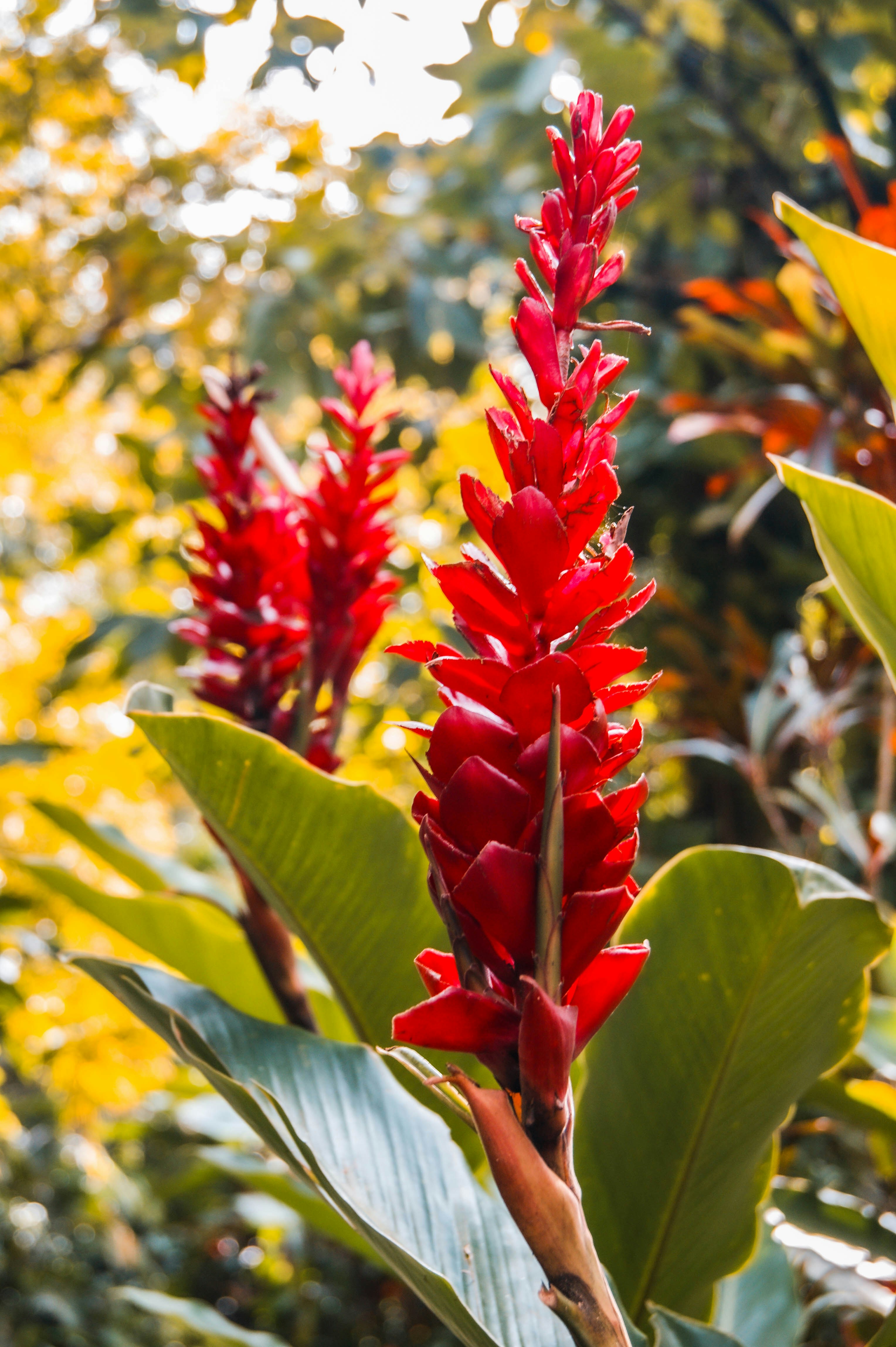 Photo by btscontracting