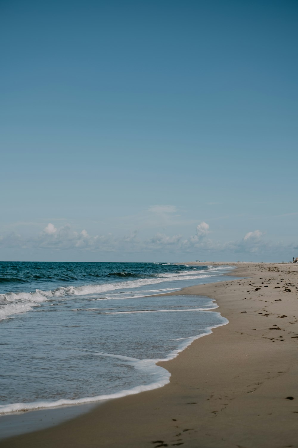 shore line during daytime