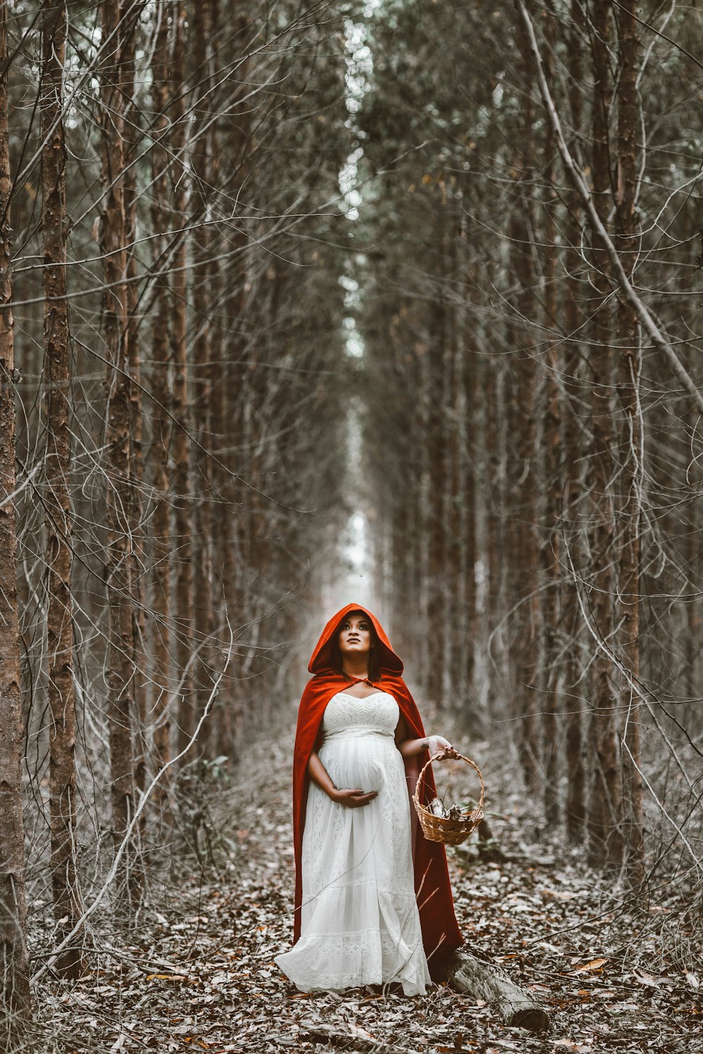 Little Red Riding Hood Pictures | Download Free Images on Unsplash