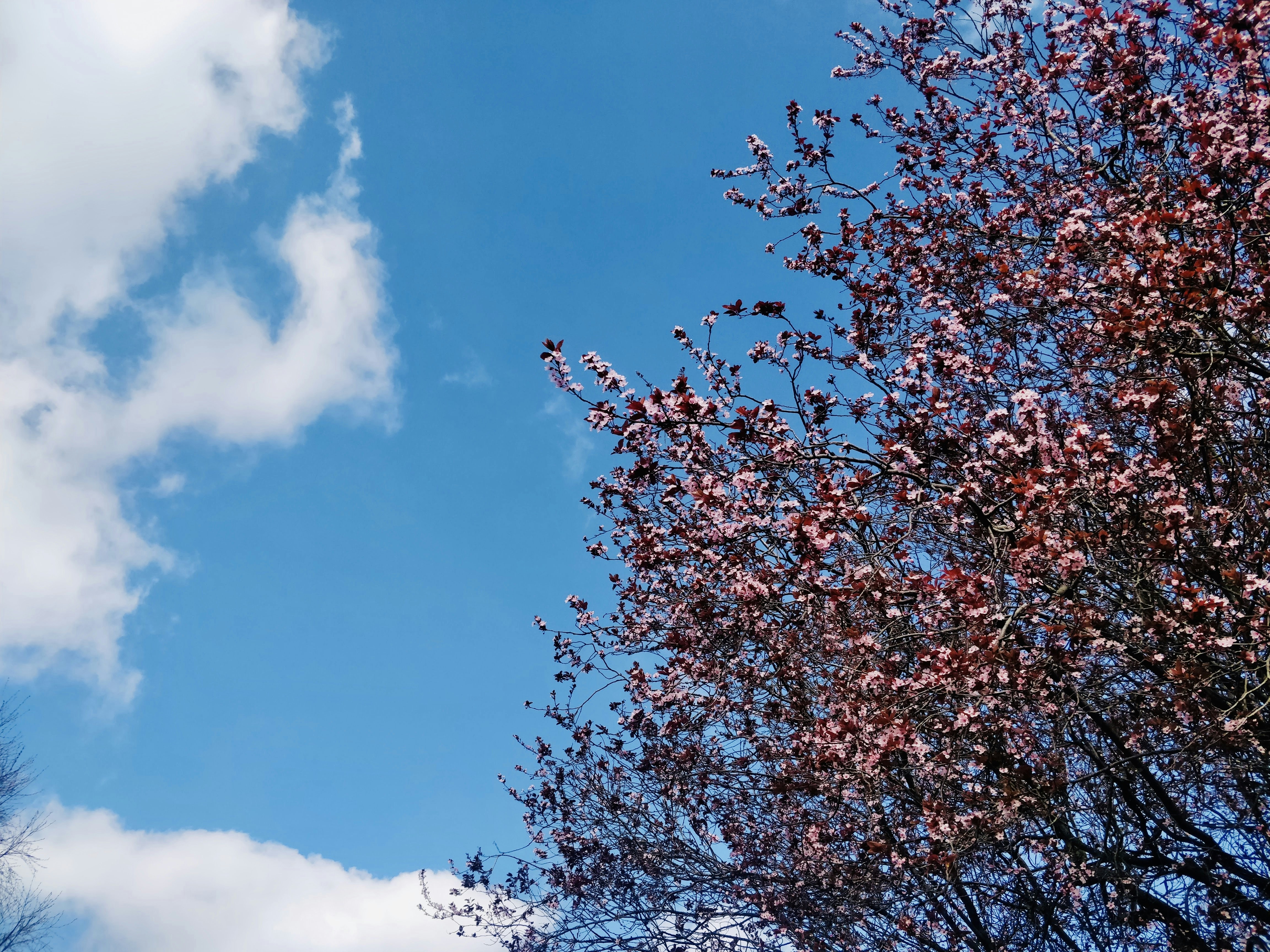 Photo by pranavthombare