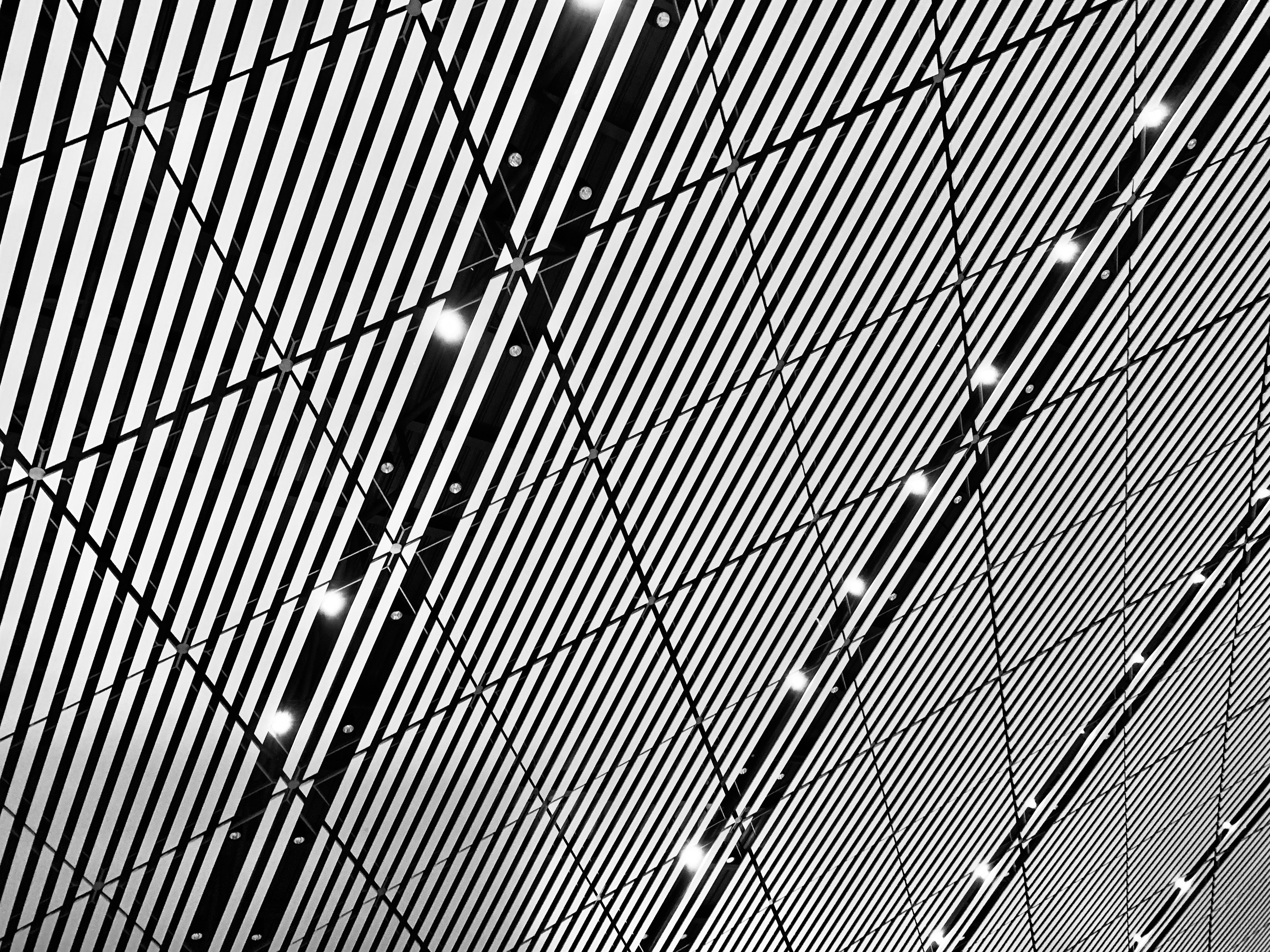 Urban akiya: Opportunities in Tokyo's outer wards - Summer Activities 2025