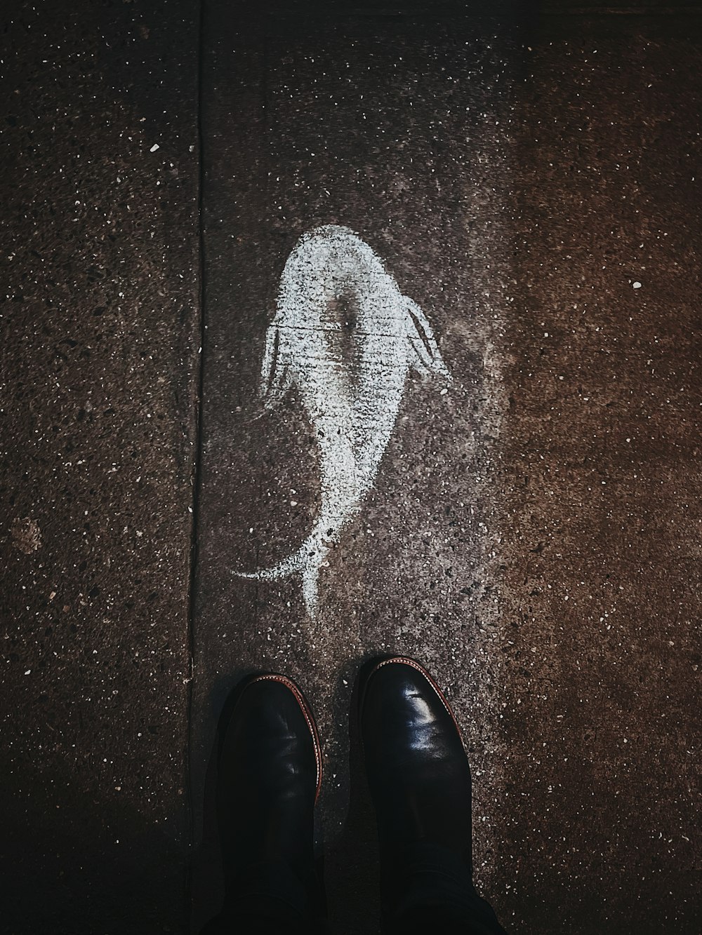 fish artwork on road