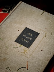 A hardcover book titled 'The Young Lions' is placed against a textured background. The cover is a subdued beige color with a black rectangular label featuring the title in gold lettering. The book is surrounded by scattered bits of pine needles and small debris, adding a rustic and natural feel to the scene.