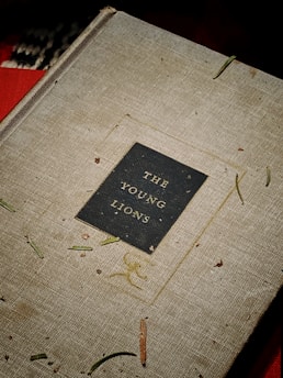 A hardcover book titled 'The Young Lions' is placed against a textured background. The cover is a subdued beige color with a black rectangular label featuring the title in gold lettering. The book is surrounded by scattered bits of pine needles and small debris, adding a rustic and natural feel to the scene.
