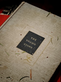 A hardcover book titled 'The Young Lions' is placed against a textured background. The cover is a subdued beige color with a black rectangular label featuring the title in gold lettering. The book is surrounded by scattered bits of pine needles and small debris, adding a rustic and natural feel to the scene.