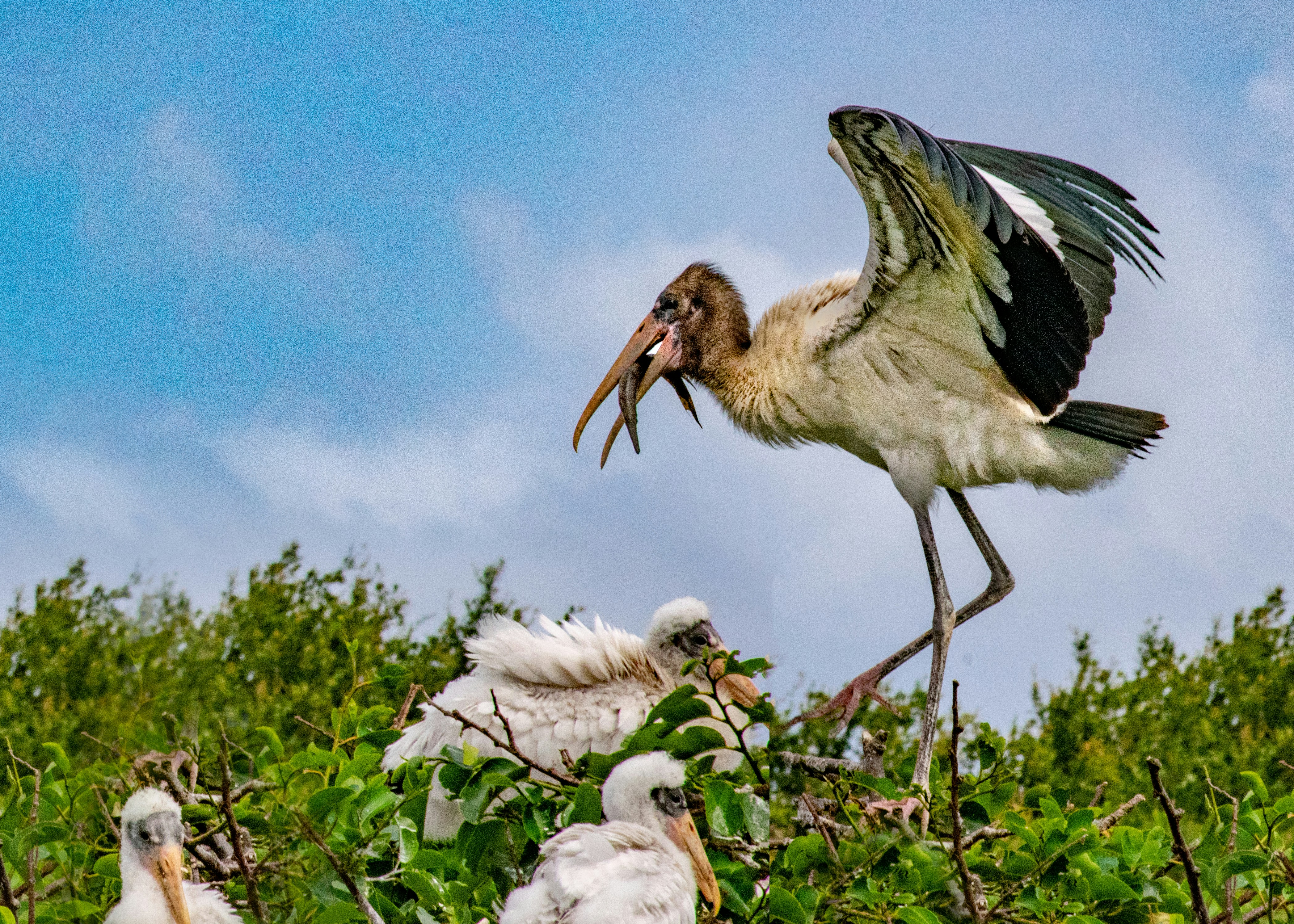 Photo by sagredophotography