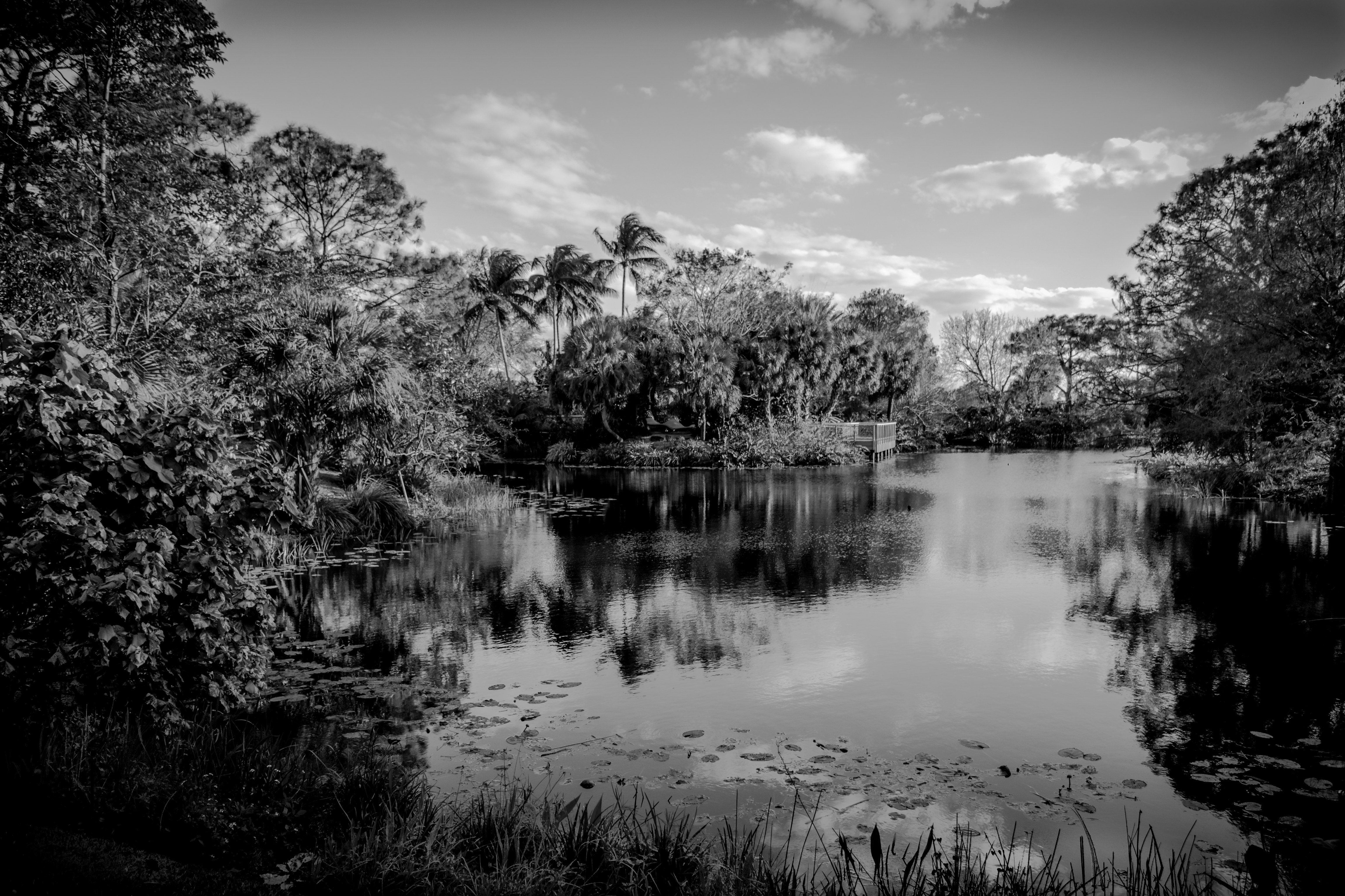 Photo by sagredophotography