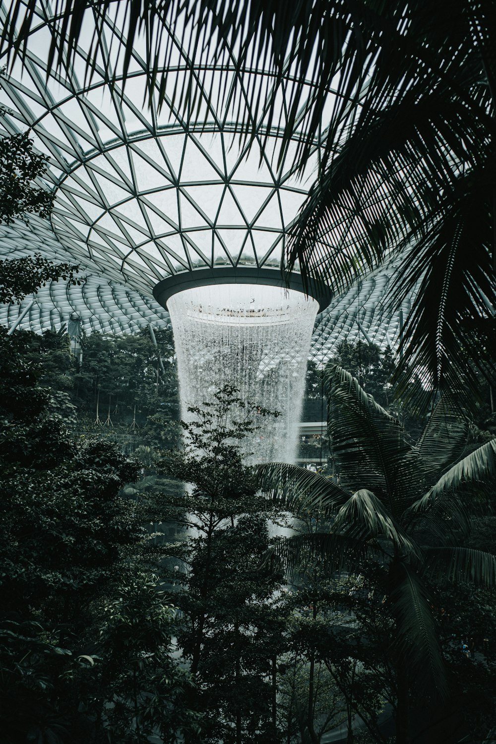 Marina Bay forest interior