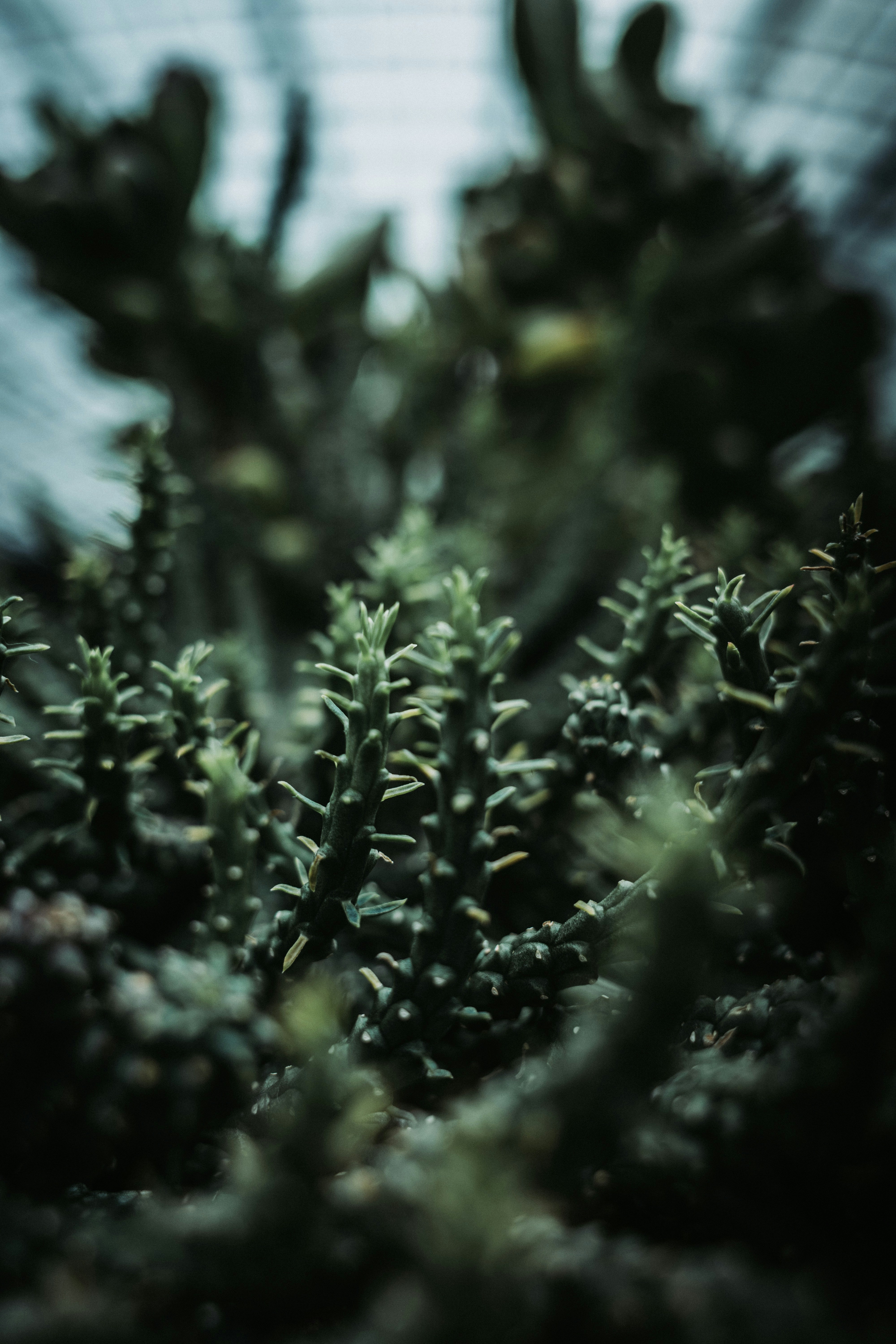 Photo by nopphaluxkosakorn