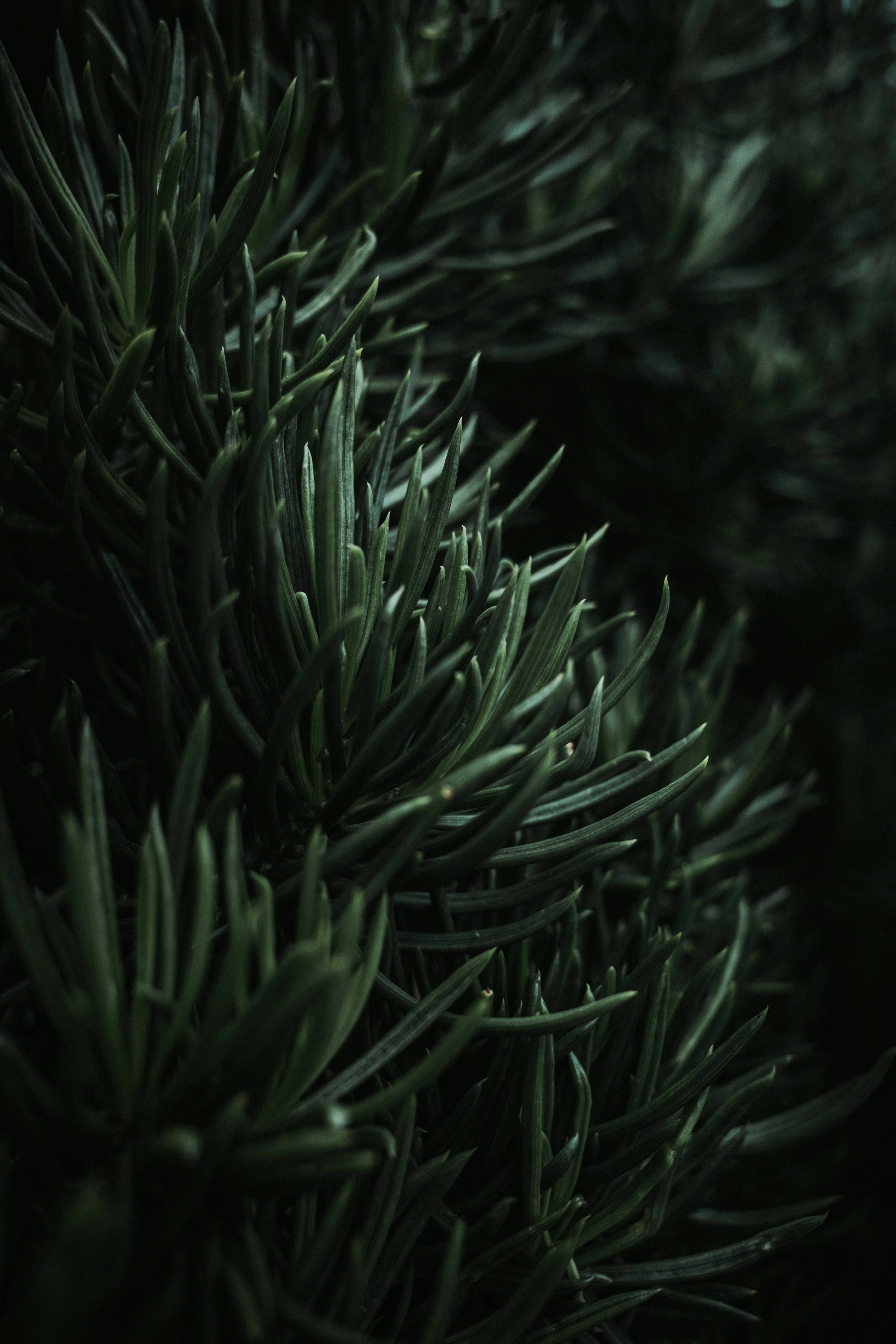 Photo by nopphaluxkosakorn