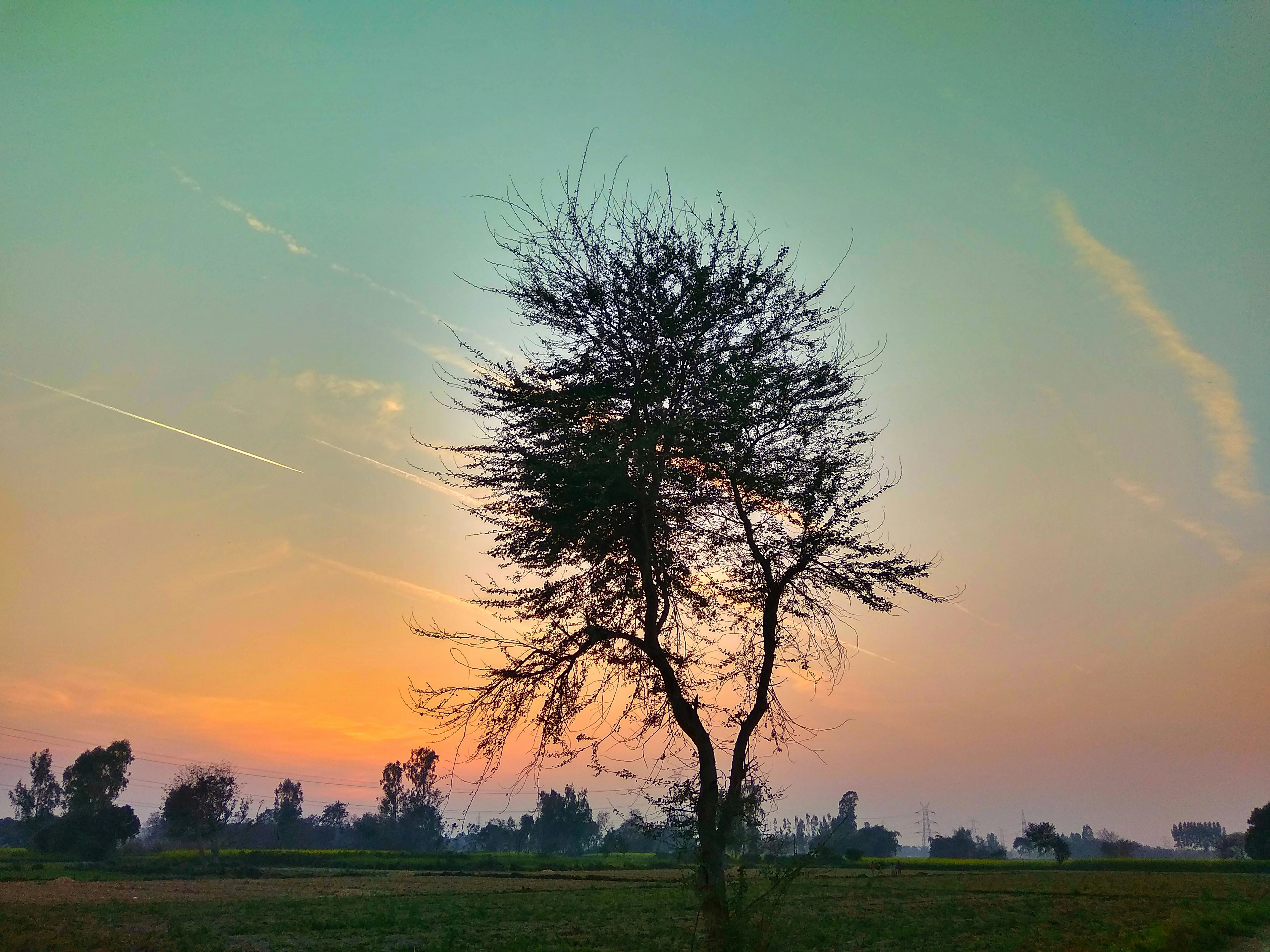 Photo by daniel_joshua_