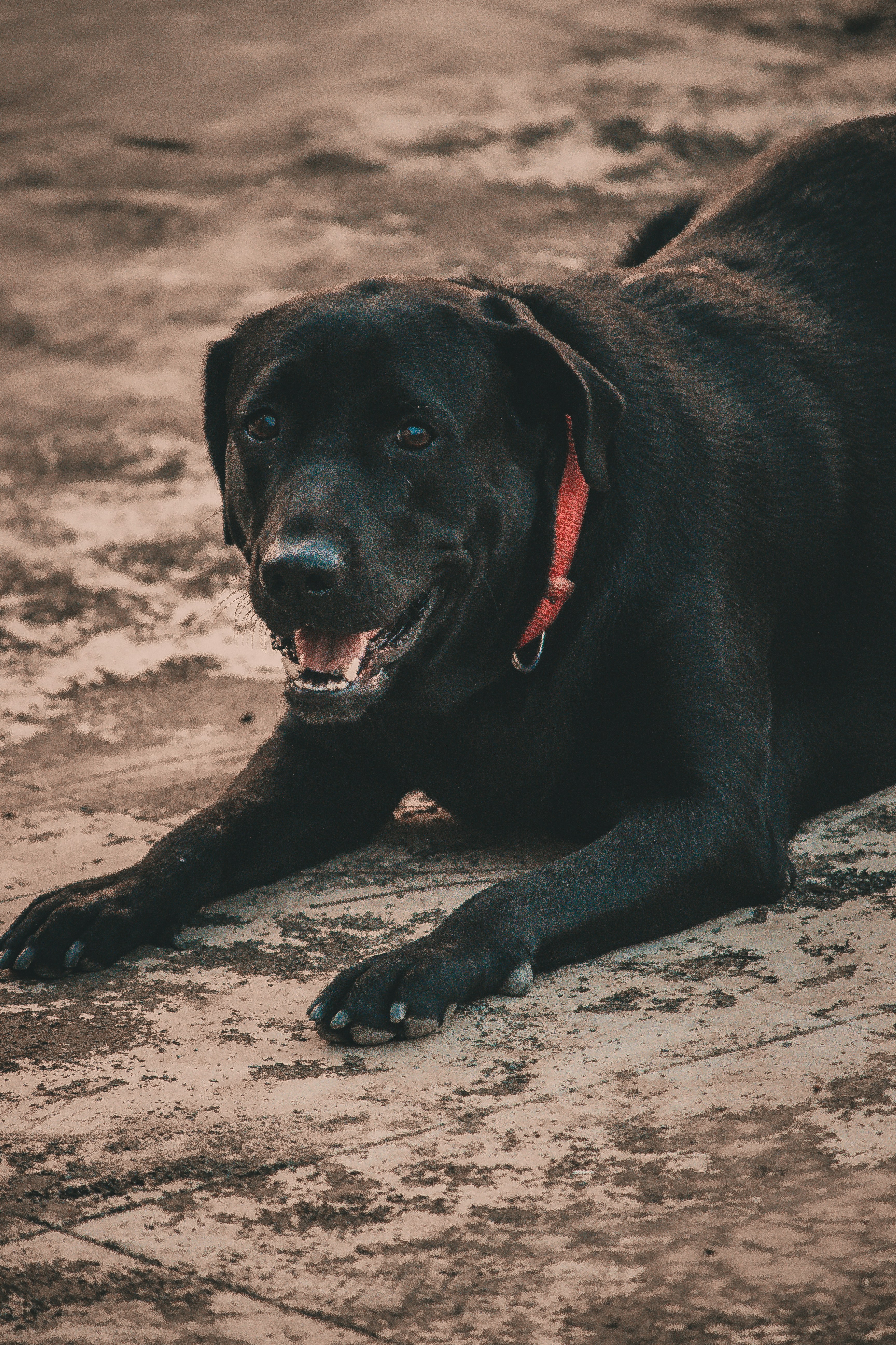 Photo by daniel_joshua_