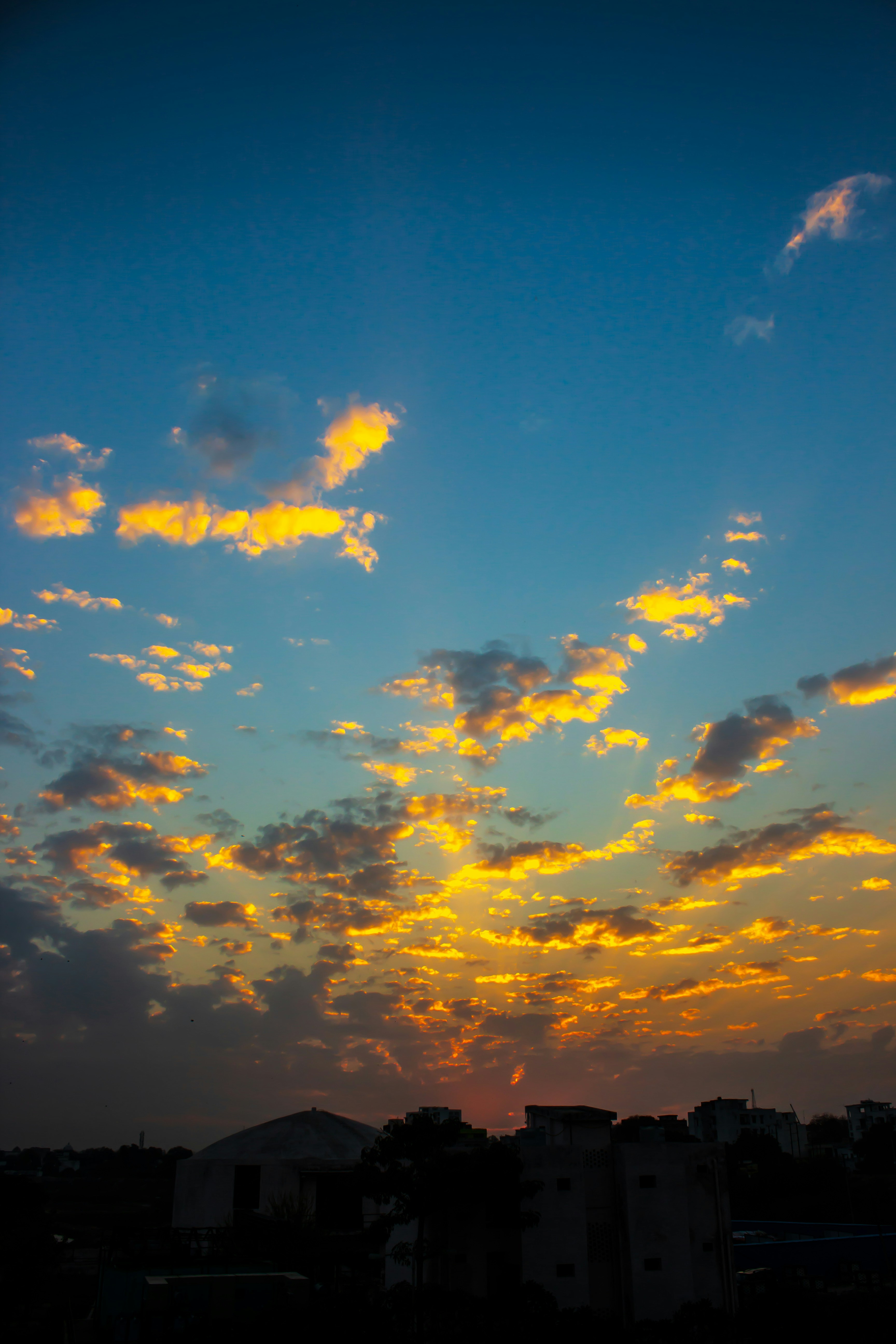 Photo by daniel_joshua_