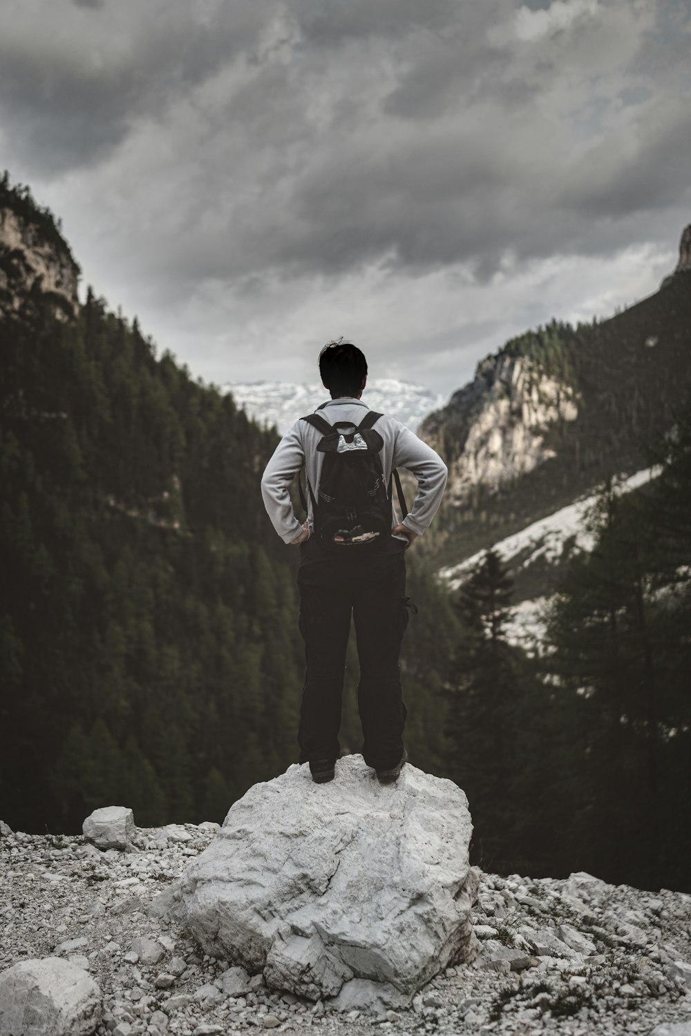 man standing on rock near forest trees during daytime