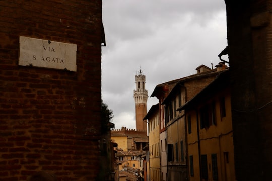 Palazzo Pubblico things to do in Province of Siena