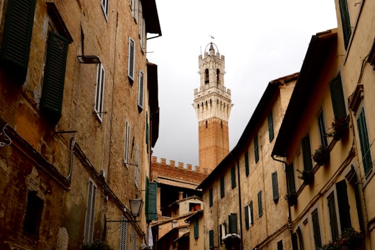 brown concrete buildings during daytime in Palazzo Pubblico Italy