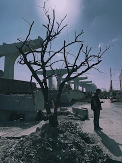 A leafless tree stands in the foreground with a construction site in the background. Large concrete structures are visible under a clear sky, and a person stands nearby on a dirt path looking at their phone.