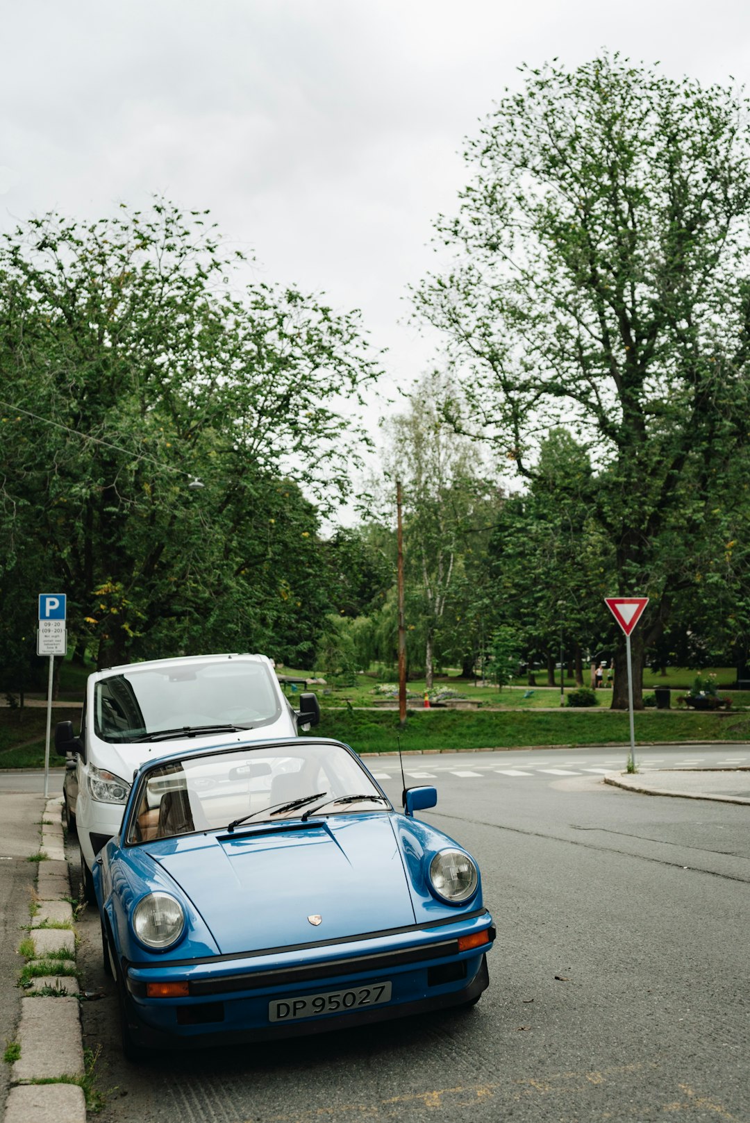 blue BMW vehicle parking near road viewing green field surrounded with green trees under white sky