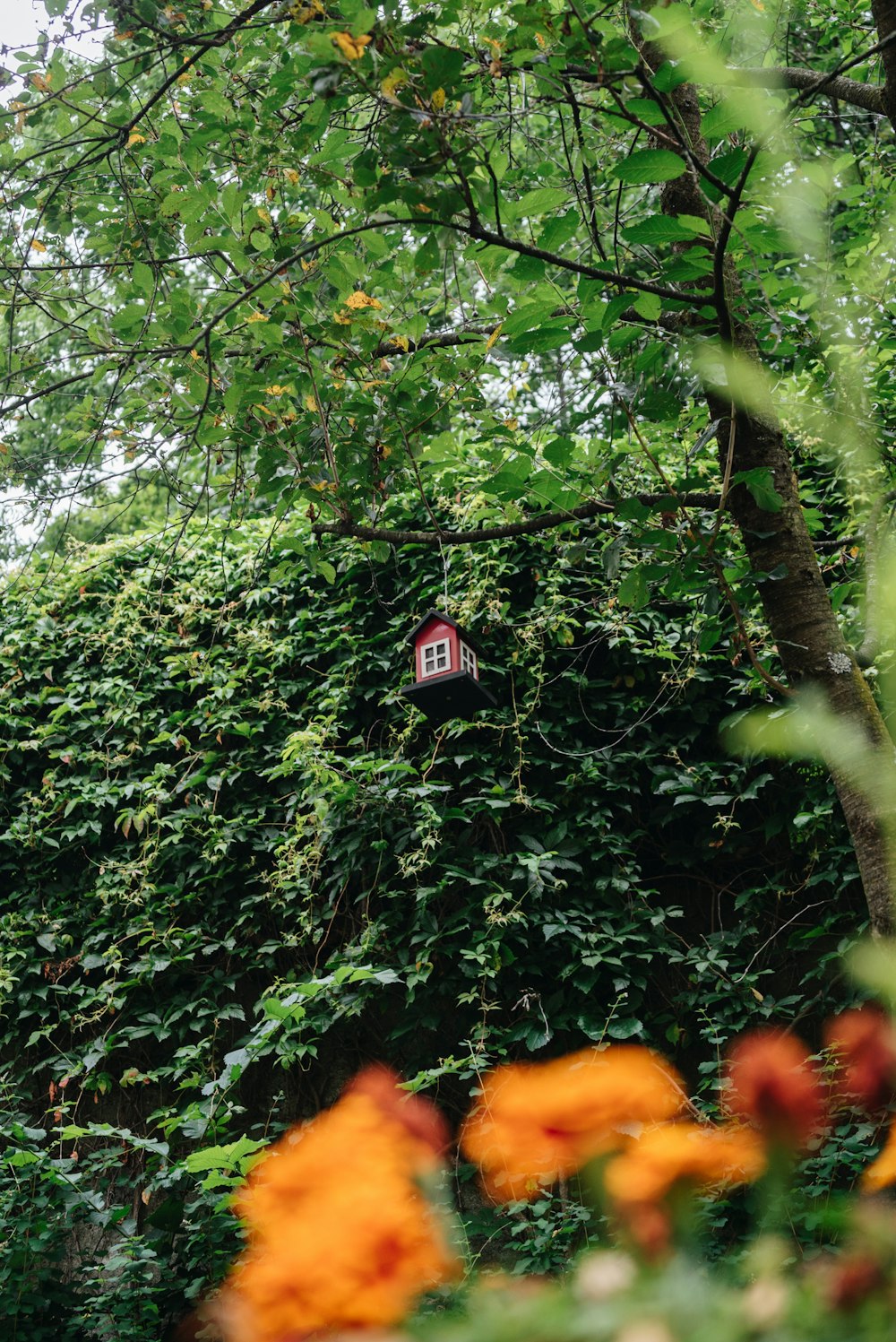 shallow focus photo of maroon birdhouse