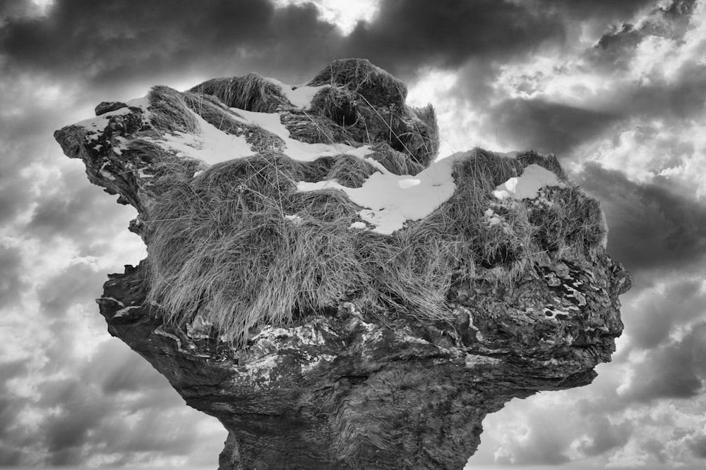 grayscale photography of rock