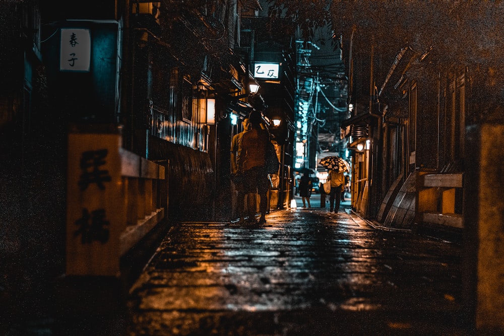 people walking on alley at night