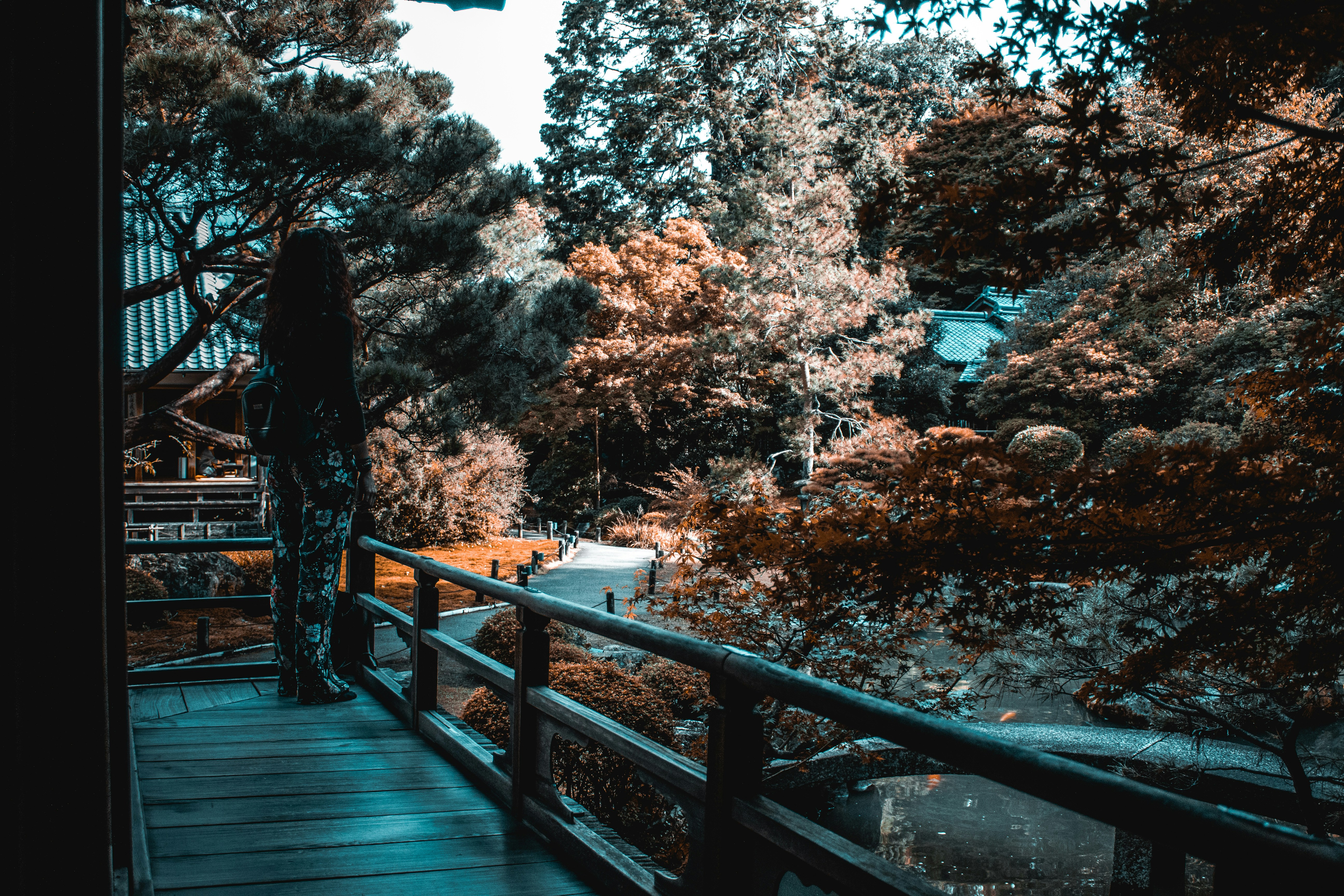 Photo by cosmingeorgian