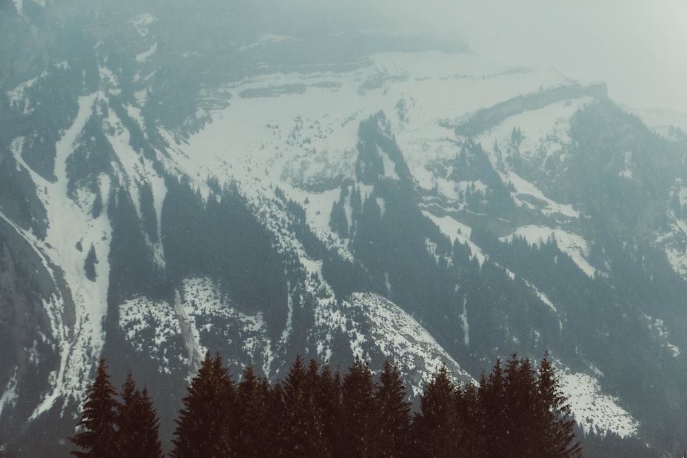 montagne enneigée pendant la journée