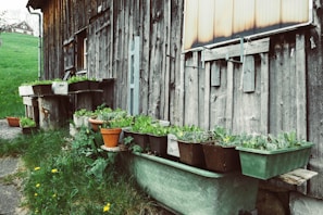 Outdoor wooden planter with climbing plants against a brick wall