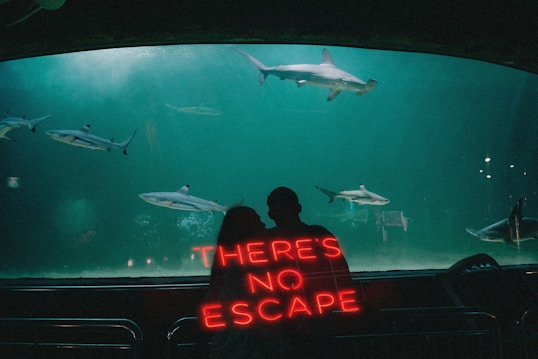 A darkened aquarium setting features several sharks swimming gracefully in a large tank. Silhouetted figures of two people stand in the foreground, facing the glass, creating a sense of gazing in awe. A prominent neon sign displays the phrase 'THERE'S NO ESCAPE' in red letters, adding an intriguing and slightly ominous atmosphere.