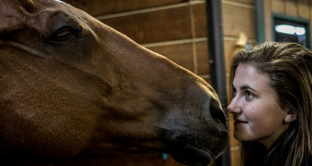 woman standing in front of brown horse