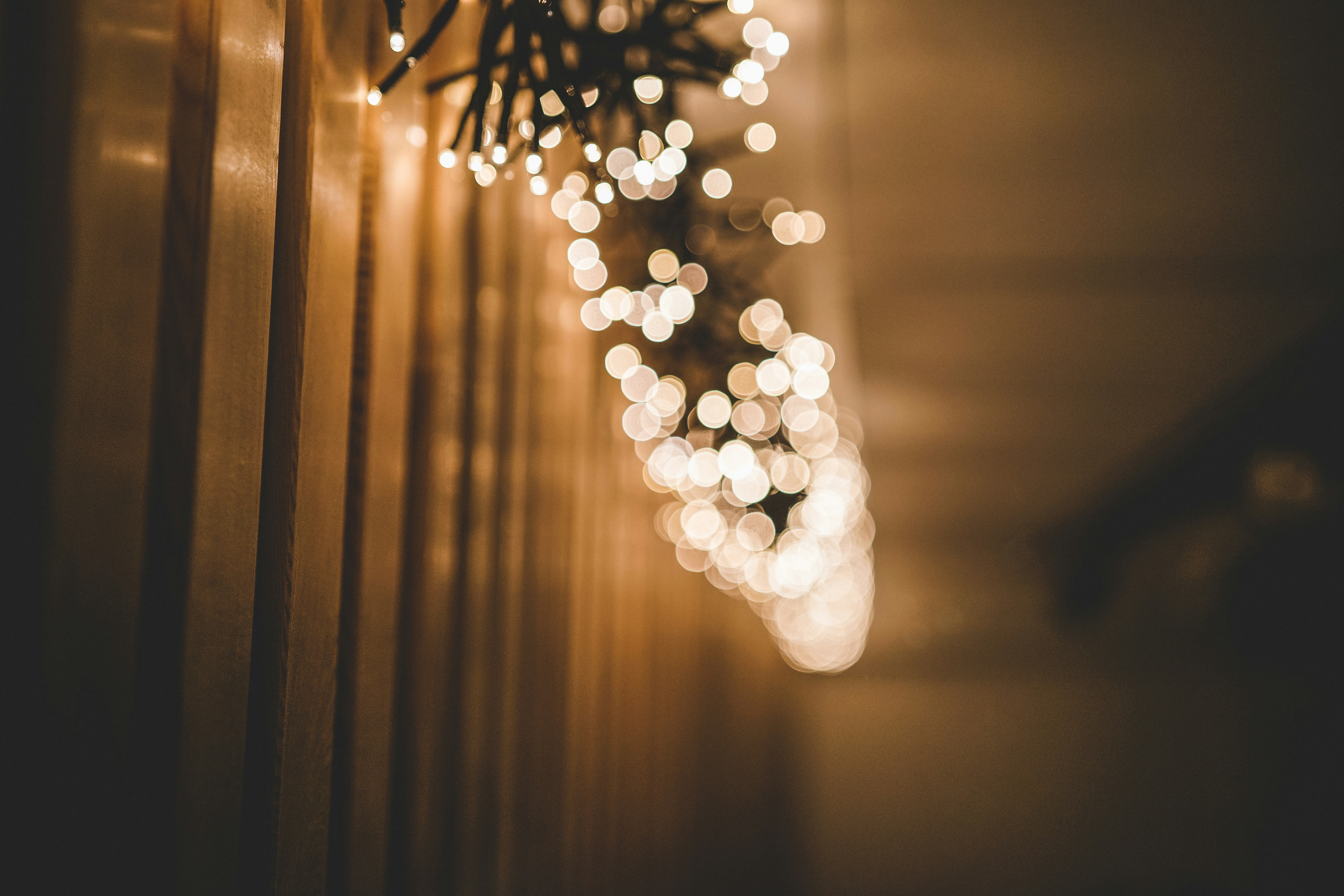 lighted string lights