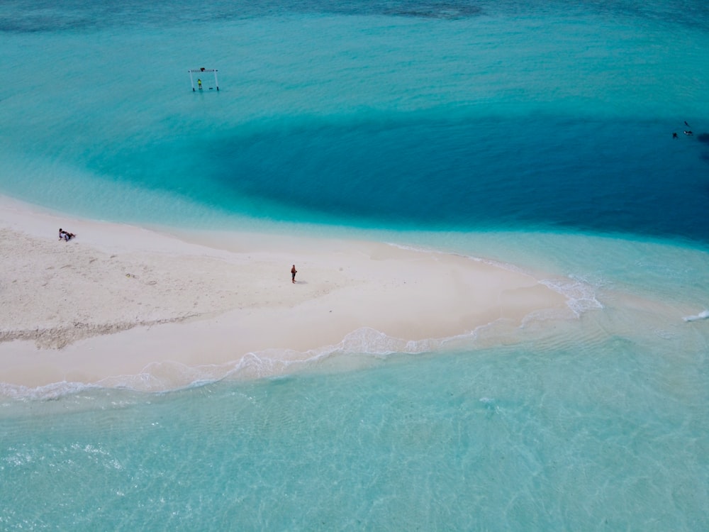 person standing near seashore